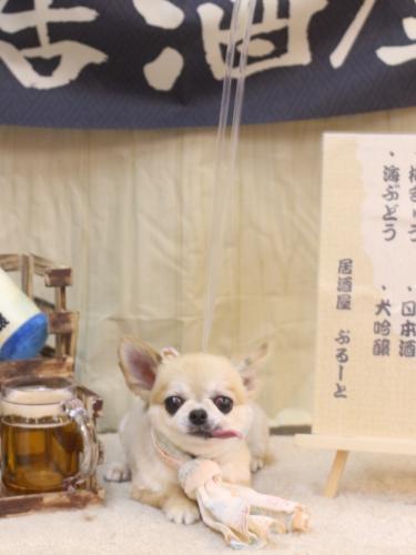 20240630ｍomoちゃん